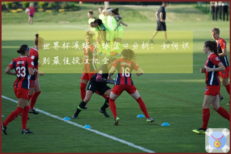 世界杯滚球买球盘口分析：如何识别最佳投注机会