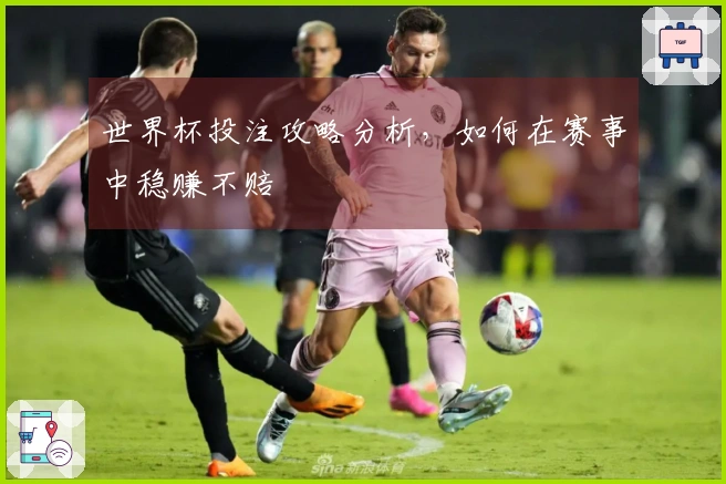 世界杯投注攻略分析，如何在赛事中稳赚不赔