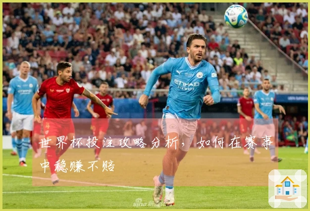 世界杯投注攻略分析,如何在赛事中稳赚不赔