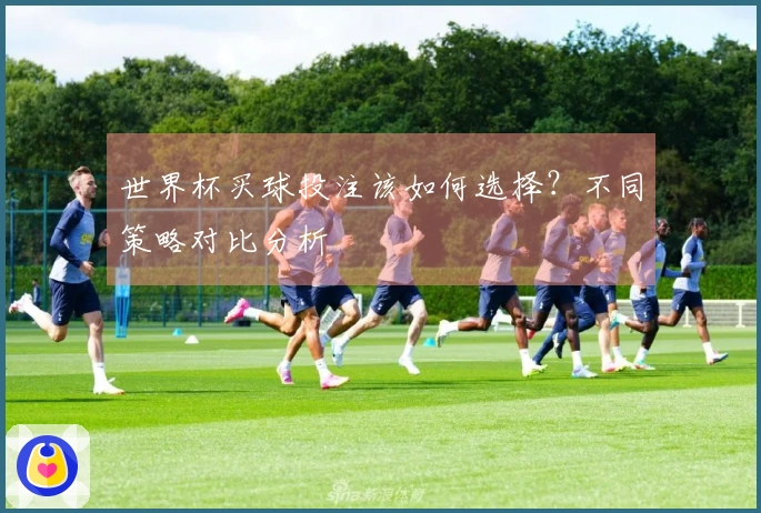 世界杯买球投注该如何选择？不同策略对比分析
