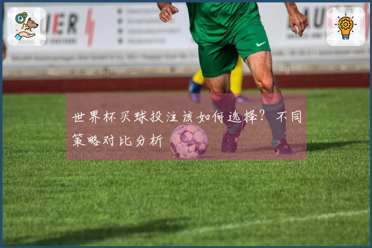 世界杯买球投注该如何选择？不同策略对比分析